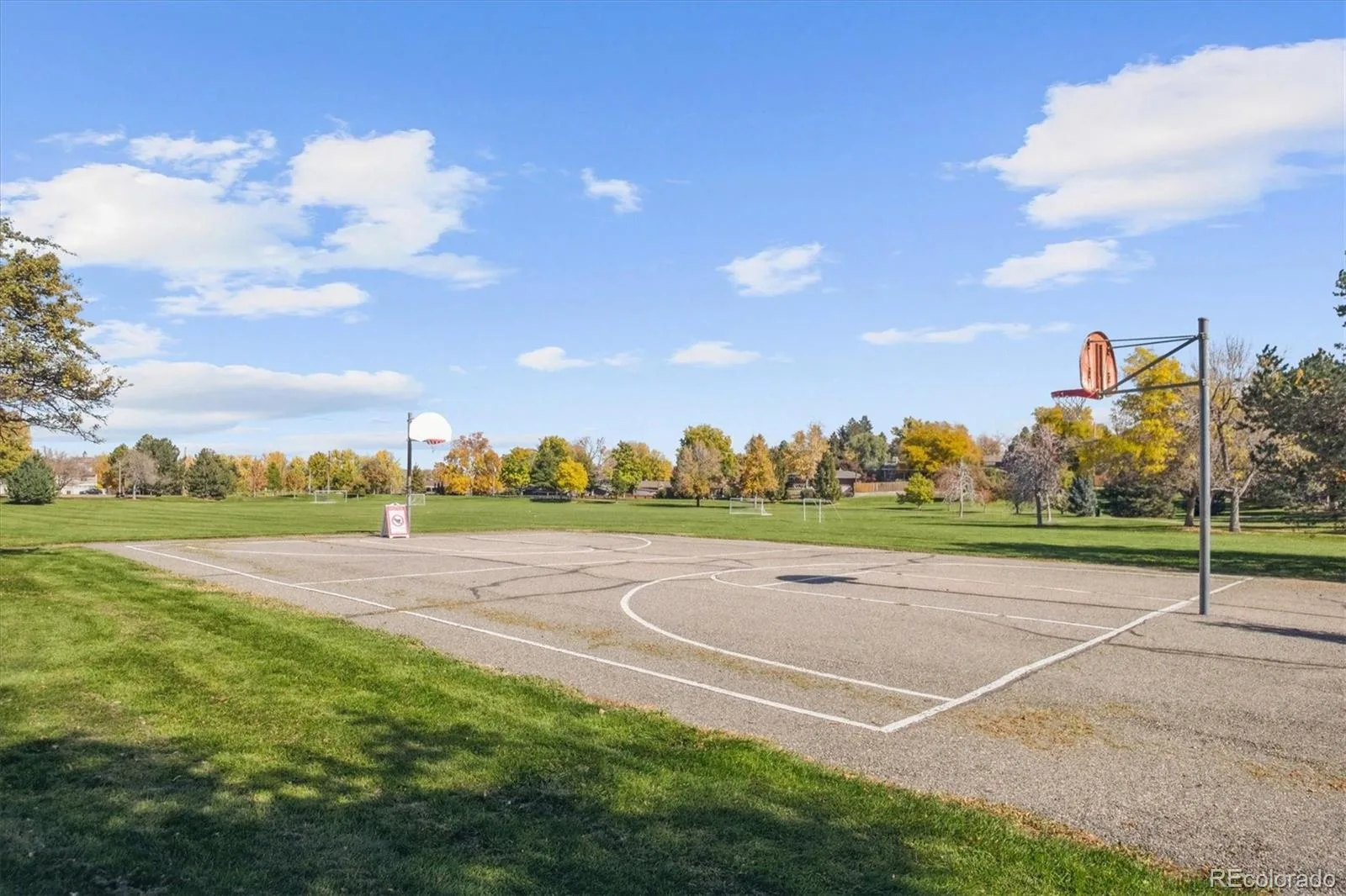 4724 W Tufts Circle Denver CO 80236 MLS #REC1587432 06102026000504 1600 35