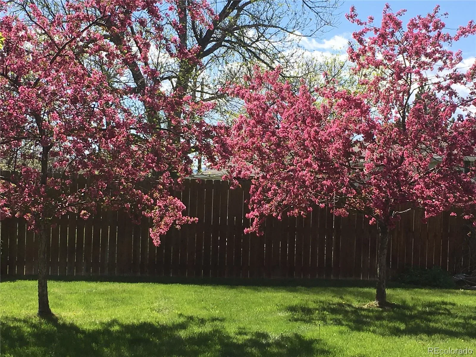 03202026165744 1600 47