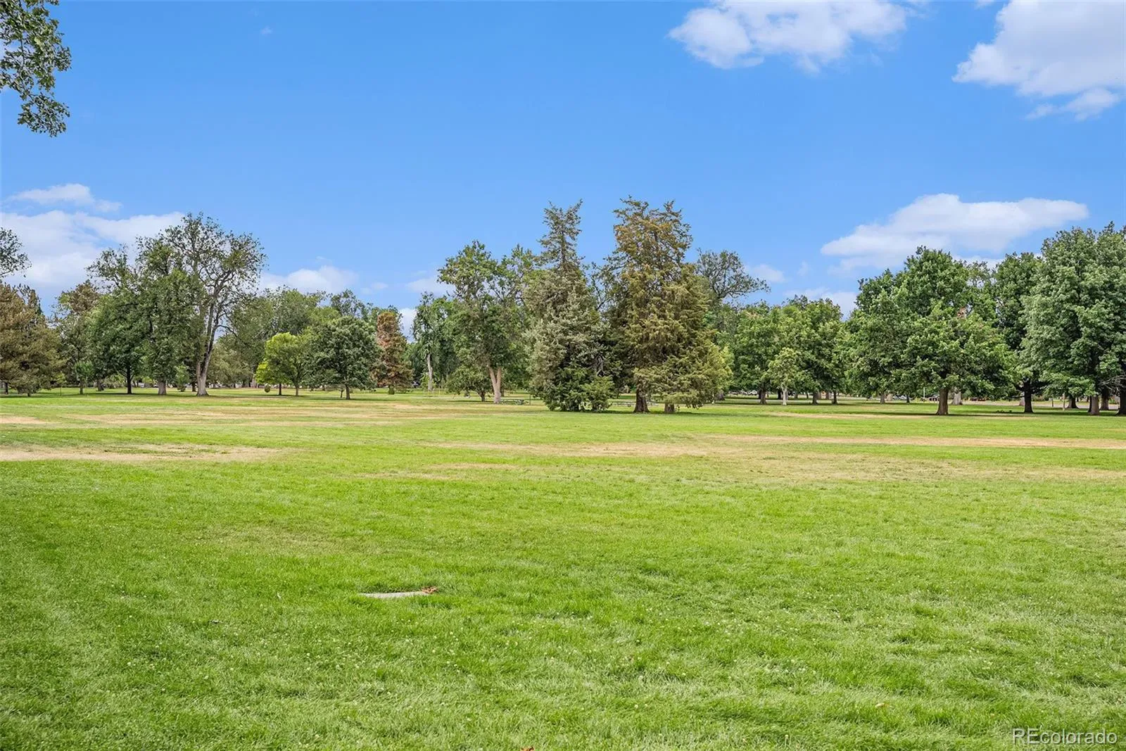 03182026181952 1600 24