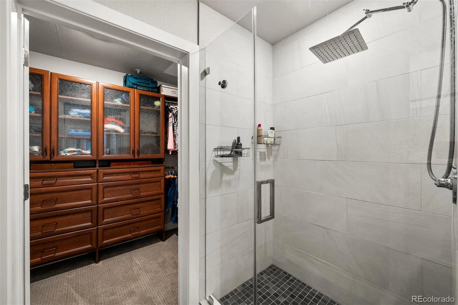 20 Wilcox Street #317 Castle Rock CO 80104 | MLS #REC1601871 07092026032550 1600 30