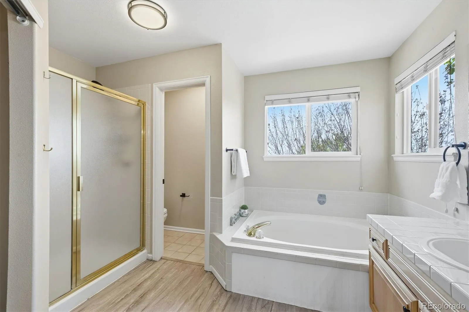 6101 S Shawnee Street Centennial CO 80015 MLS #REC1602648 04302026070609 1600 29