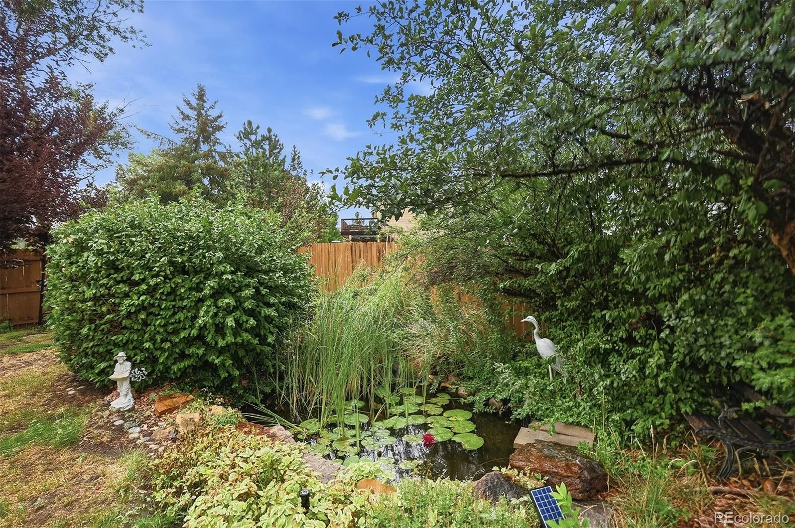 19249 E Downy Creek Place Parker CO 80134 | MLS #REC1602654 08012026144900 1600 33