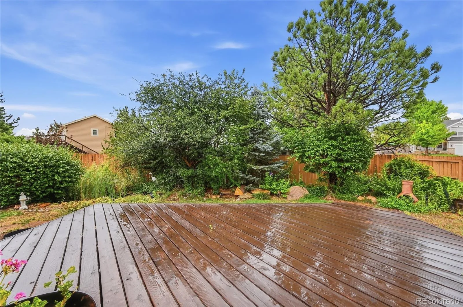 19249 E Downy Creek Place Parker CO 80134 | MLS #REC1602654 08012026144900 1600 34