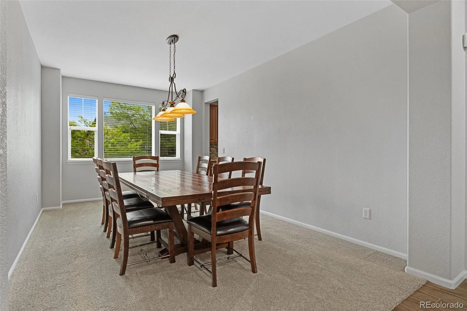 10696 Nucla Street Commerce City CO 80022 MLS #REC1606085 07052026023229 1600 18
