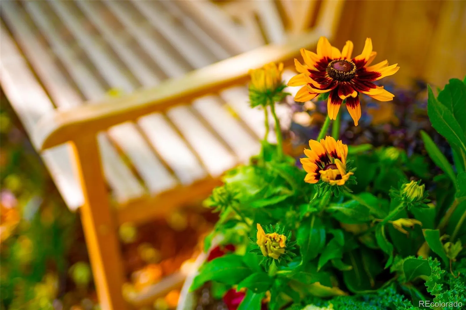 04162026235106 1600 35