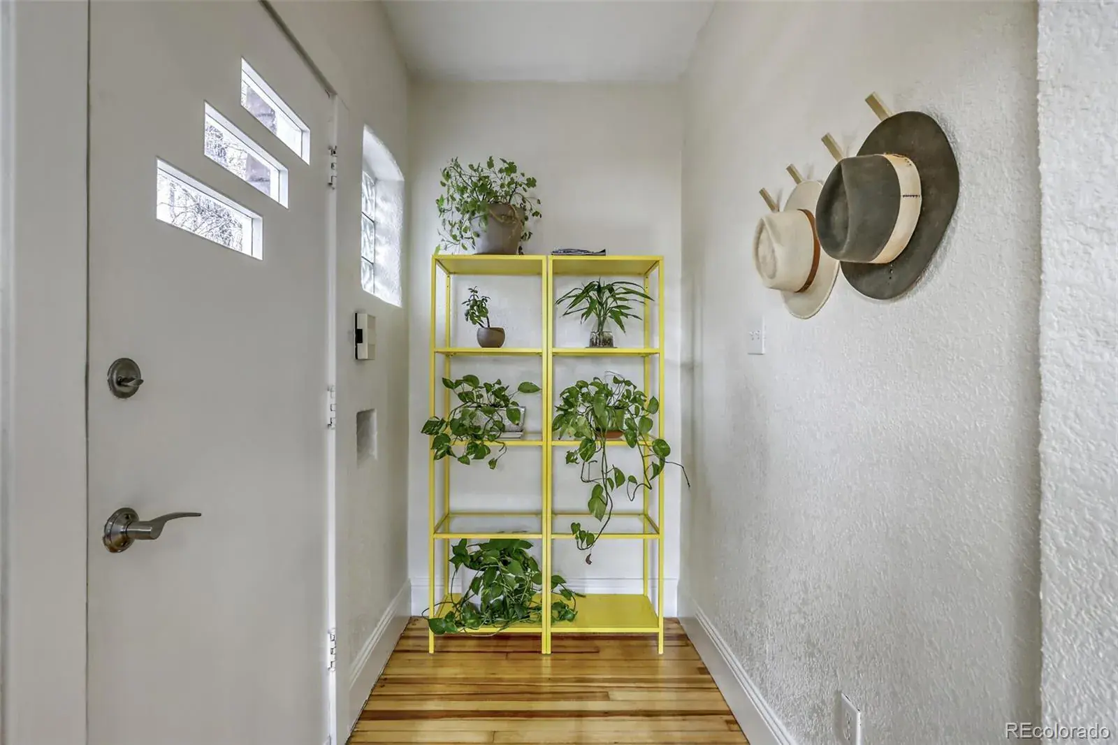 01152026004950 1600 2