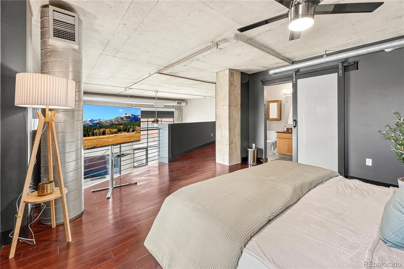 1050 Cherokee Street #301 Denver CO 80204 MLS #REC1614293 07062026154443 1600 27