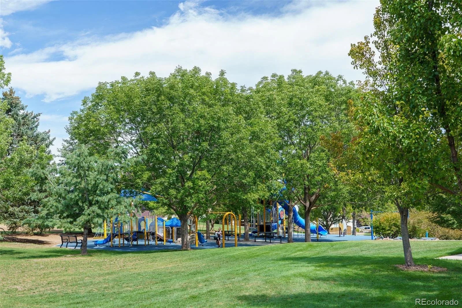 3147 E Long Circle Littleton CO 80122 | MLS #REC1616231 08312026201752 1600 36
