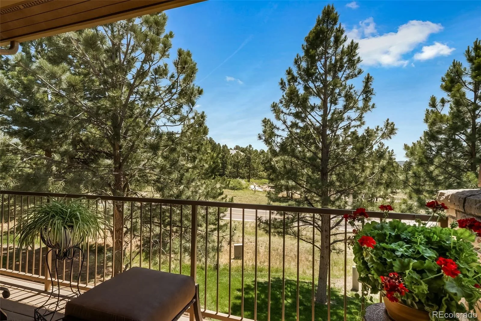 4316 Chateau Ridge Road Castle Rock CO 80108 MLS #REC1619752 07252026124337 1600 17