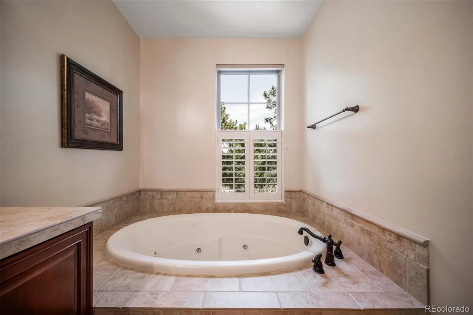 4316 Chateau Ridge Road Castle Rock CO 80108 MLS #REC1619752 07252026124337 1600 25