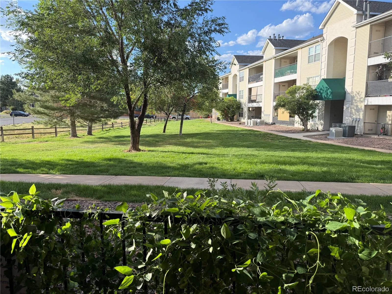 12348 W Dorado Place #102 #8 Littleton CO 80127 | MLS #REC1623988 07232026143427 1600 16