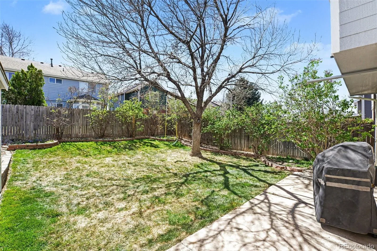 03272026030546 1600 20