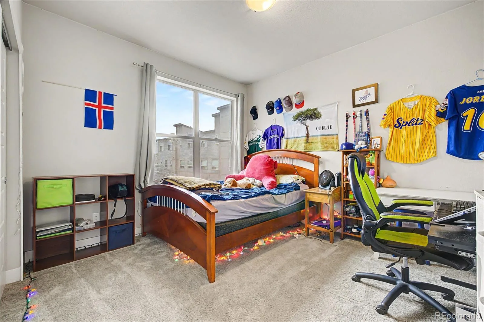 5229 Beeler Street Denver CO 80238 | MLS #REC1633143 08062026160125 1600 29
