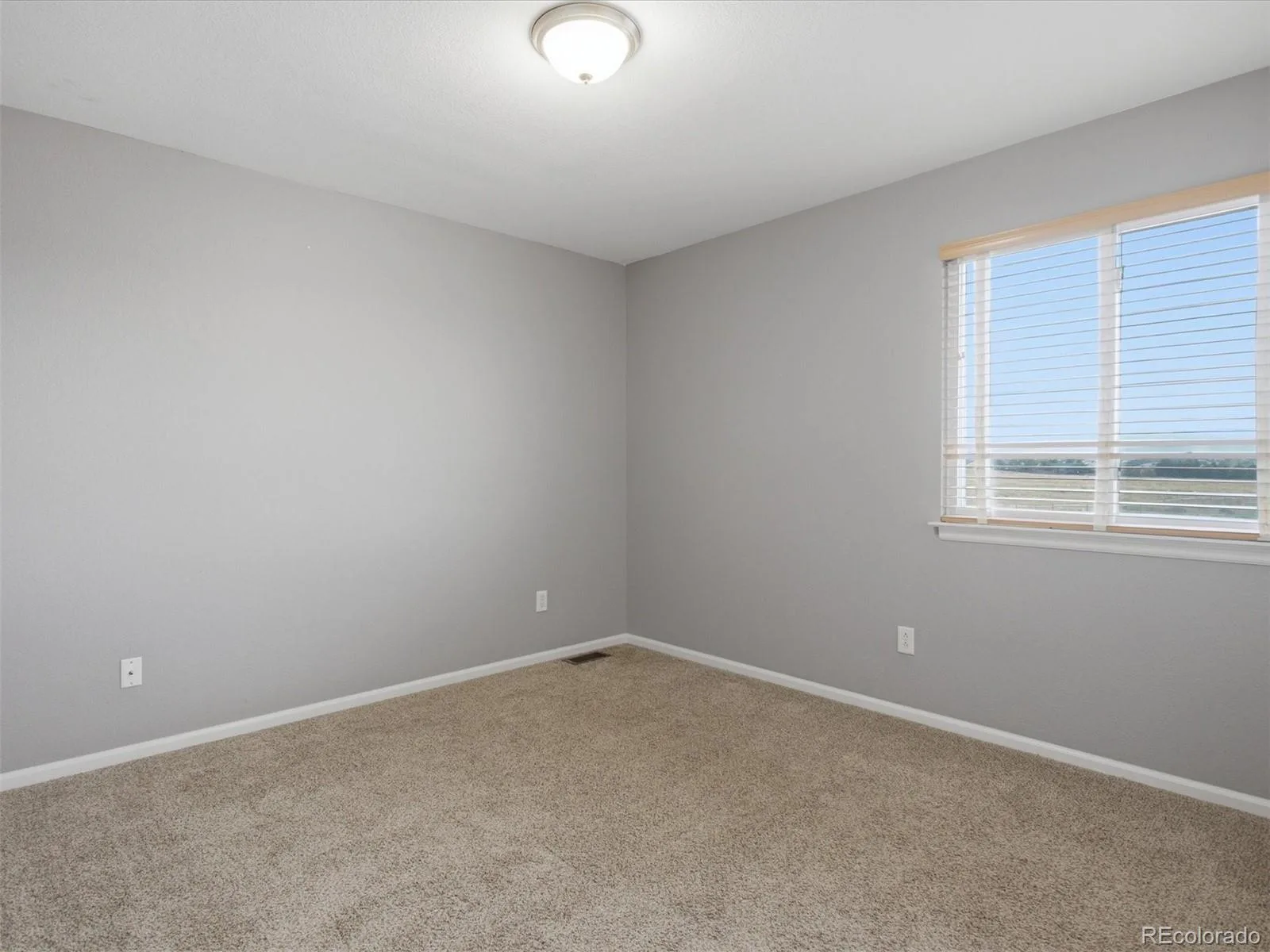 9931 Aftonwood Street Littleton CO 80126 | MLS #REC1636177 08132026164418 1600 14