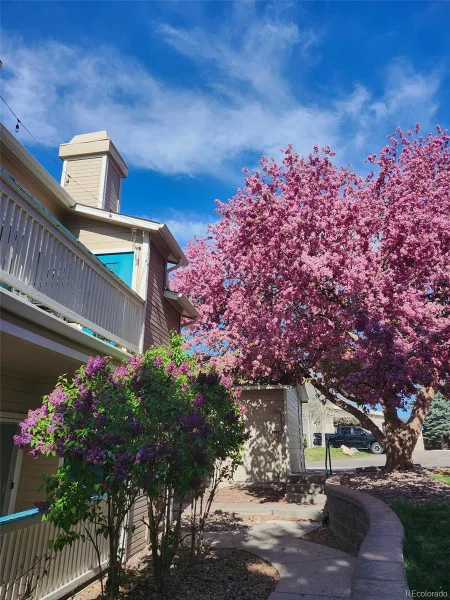 8449 Little Rock Way #204 Littleton CO 80126 | MLS #REC1637945 08242026160802 800 25