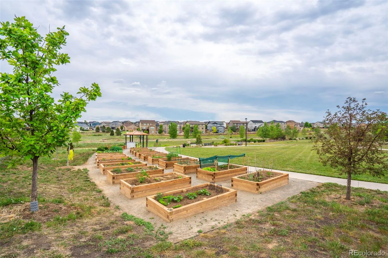 12759 Tamarac Street Thornton CO 80602 | MLS #REC1638695 06092026190550 1600 27