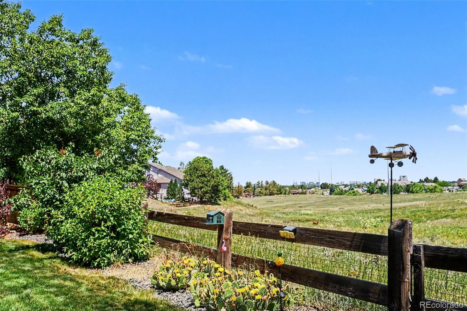 8872 Chestnut Hill Lane Highlands Ranch CO 80130 MLS #REC1640469 07072026141710 1600 11