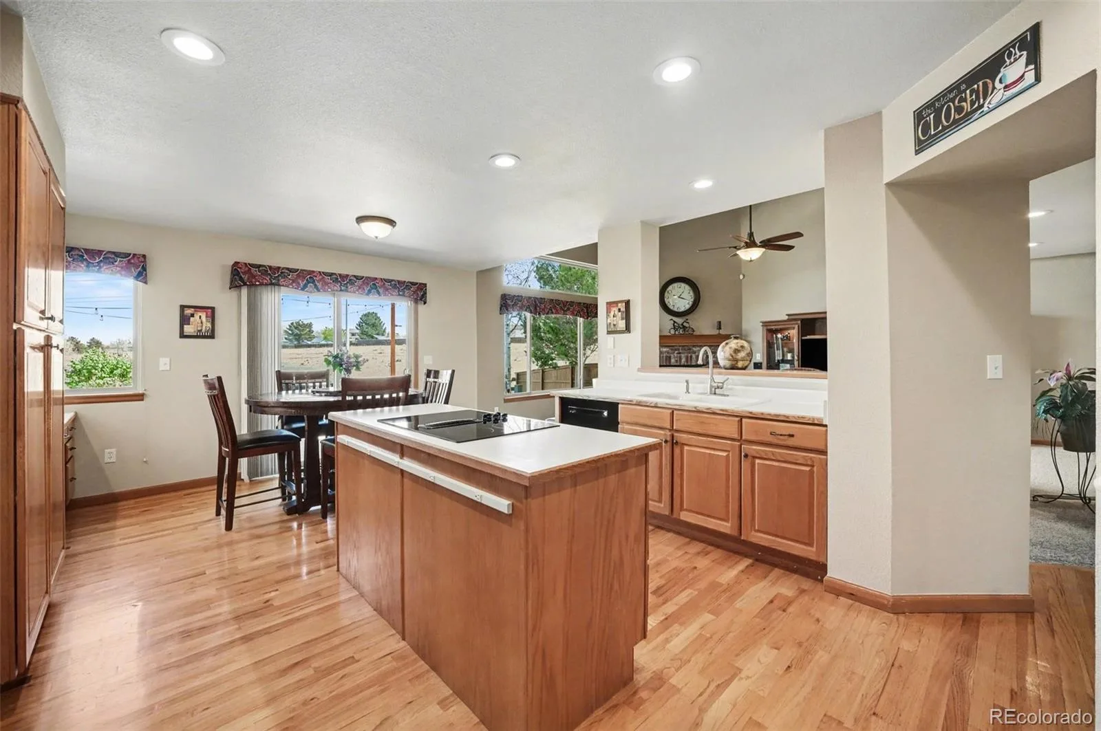 8872 Chestnut Hill Lane Highlands Ranch CO 80130 MLS #REC1640469 07072026141710 1600 15