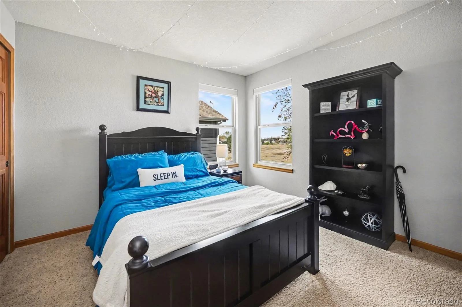 8872 Chestnut Hill Lane Highlands Ranch CO 80130 MLS #REC1640469 07072026141710 1600 28
