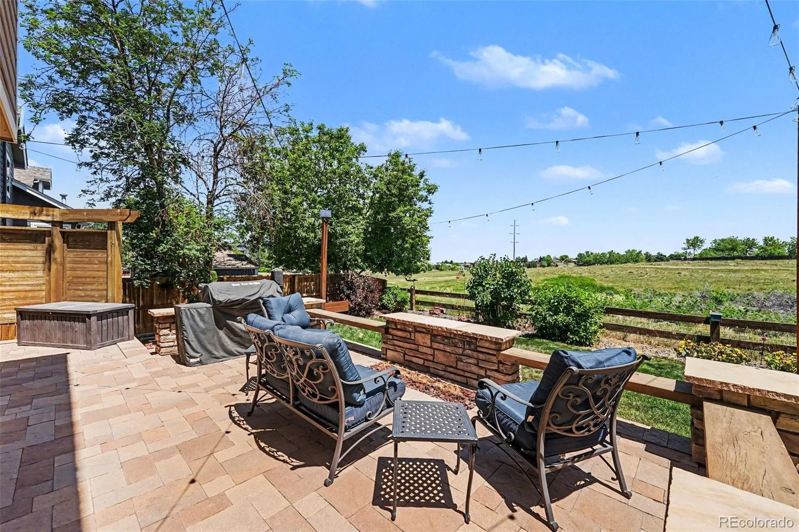 8872 Chestnut Hill Lane Highlands Ranch CO 80130 MLS #REC1640469 07072026141710 1600 8