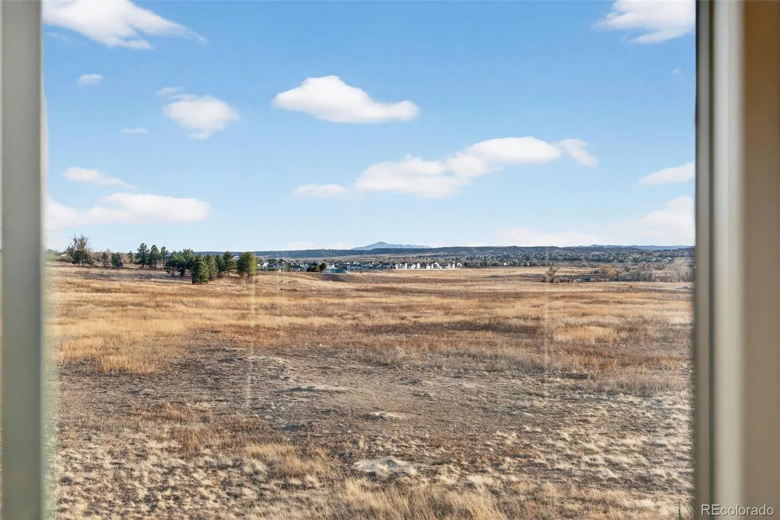 6738 Club Villa Road Parker CO 80134 MLS #REC1643568 05142026210813 1600 27