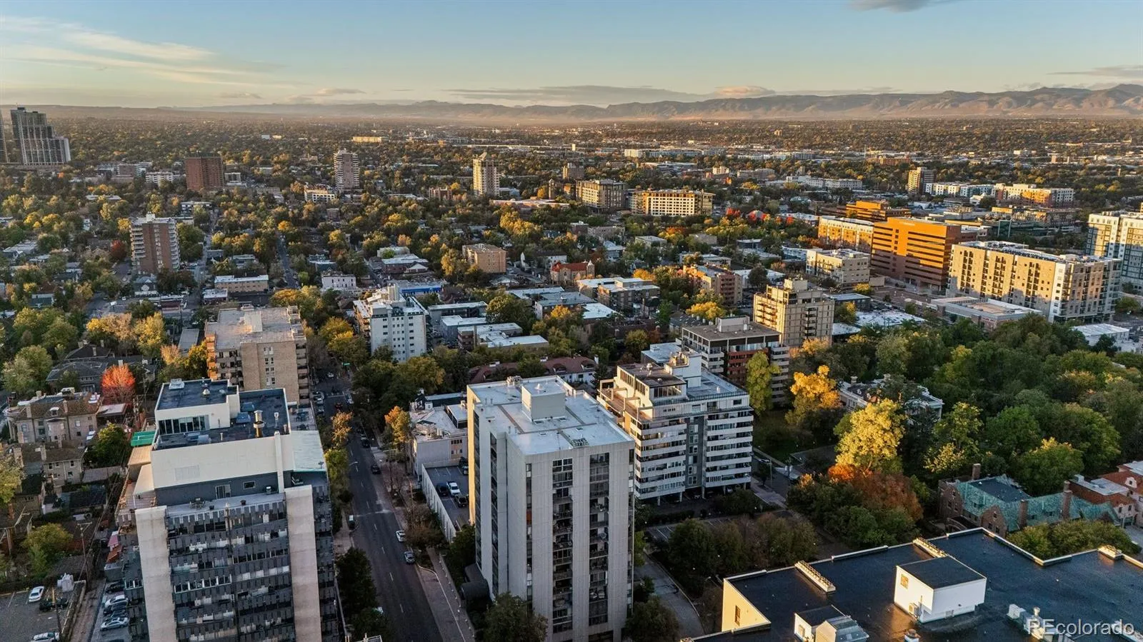 777 N Washington Street #804 Denver CO 80203 MLS #REC1645084 04242026212005 1600 45