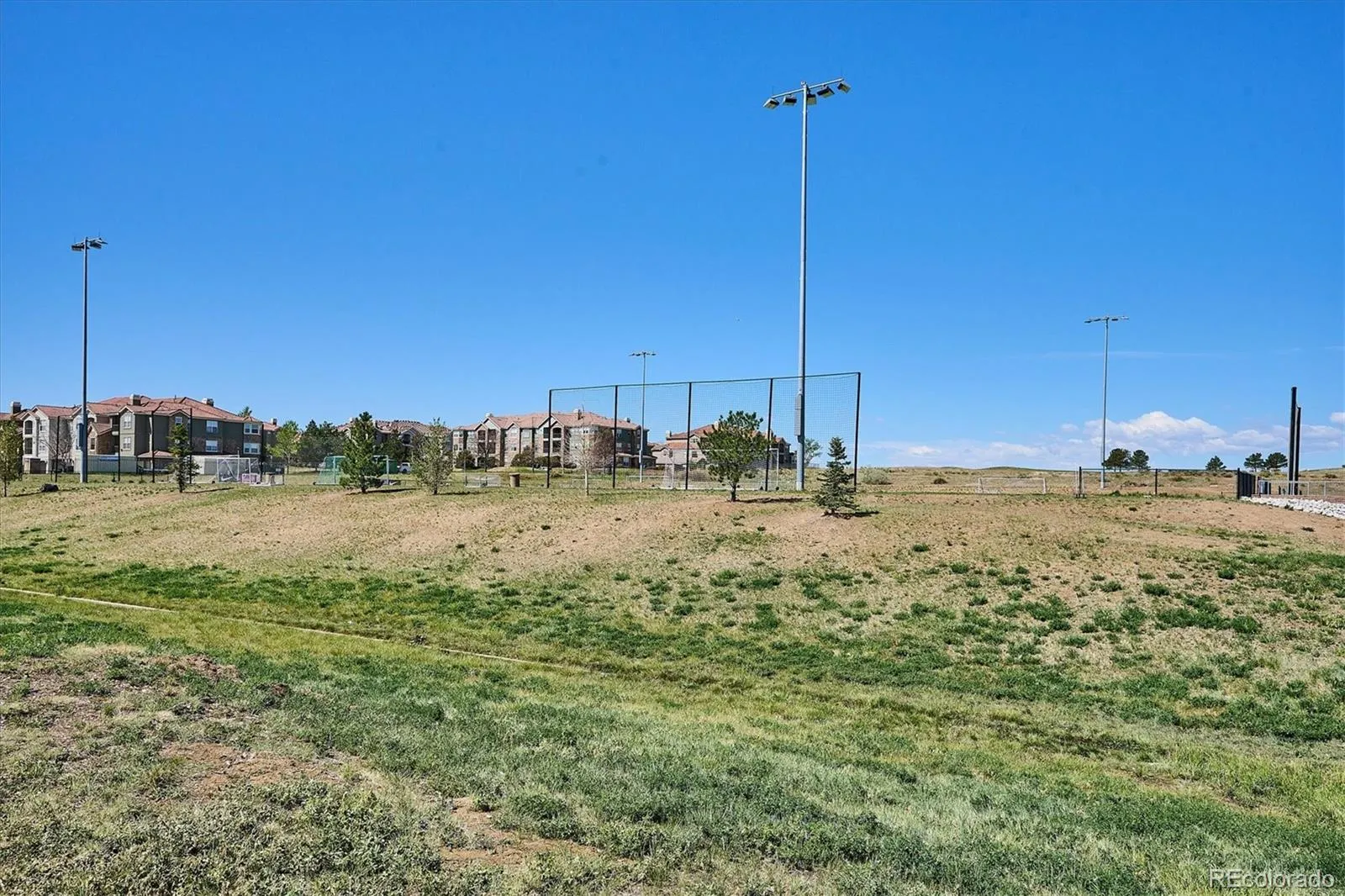 12565 Fisher Drive Englewood CO 80112 MLS #REC1645156 05112026231322 1600 33