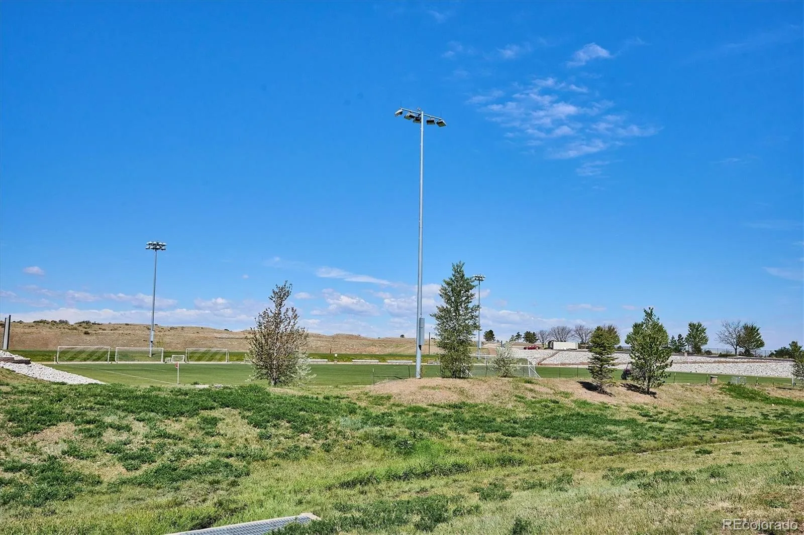 12565 Fisher Drive Englewood CO 80112 MLS #REC1645156 05112026231322 1600 34