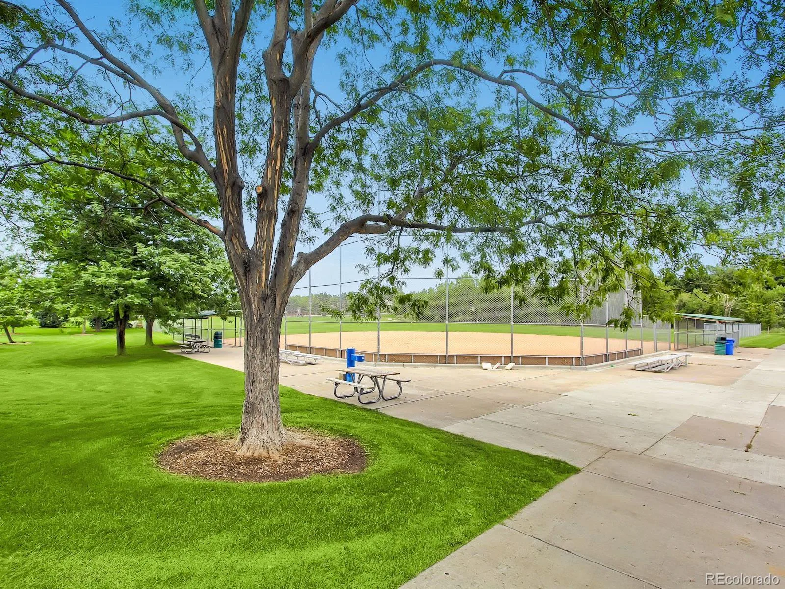 8135 S Syracuse Street Centennial CO 80112 MLS #REC1646244 06082026233941 1600 29