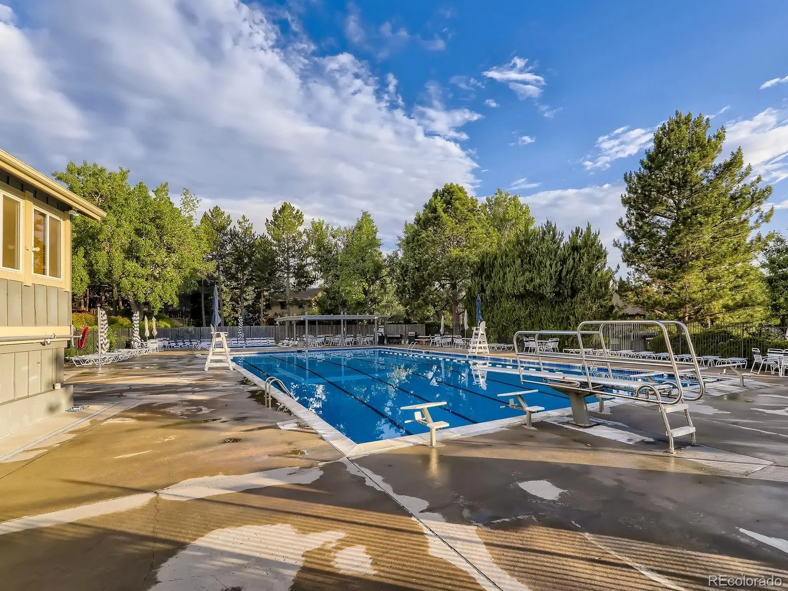 8135 S Syracuse Street Centennial CO 80112 MLS #REC1646244 06082026233941 1600 31