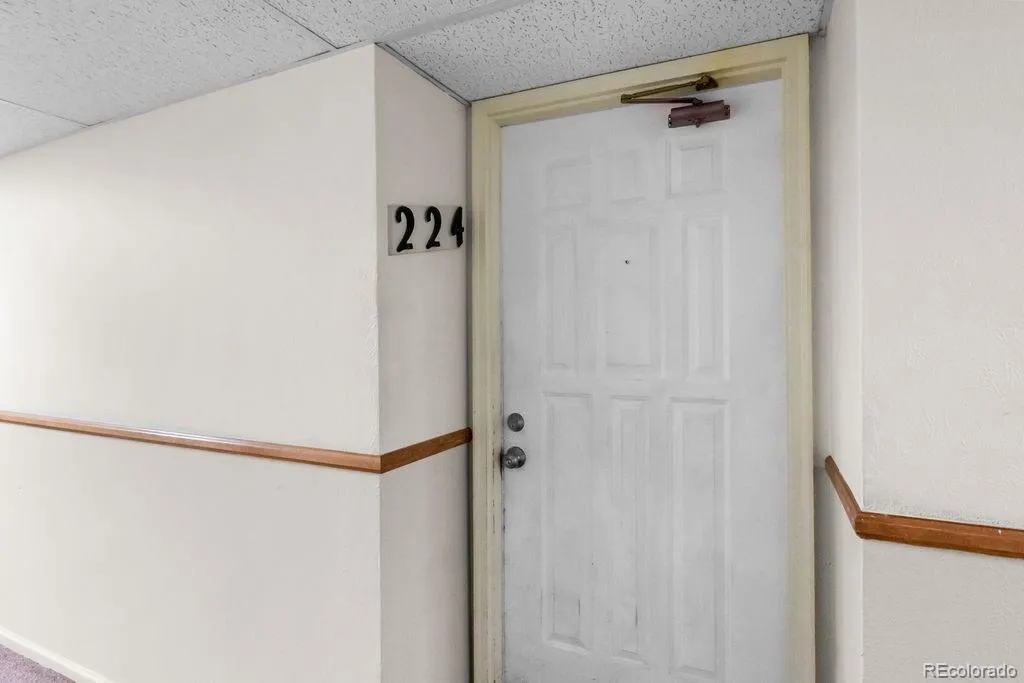 04062026040238 1024 2