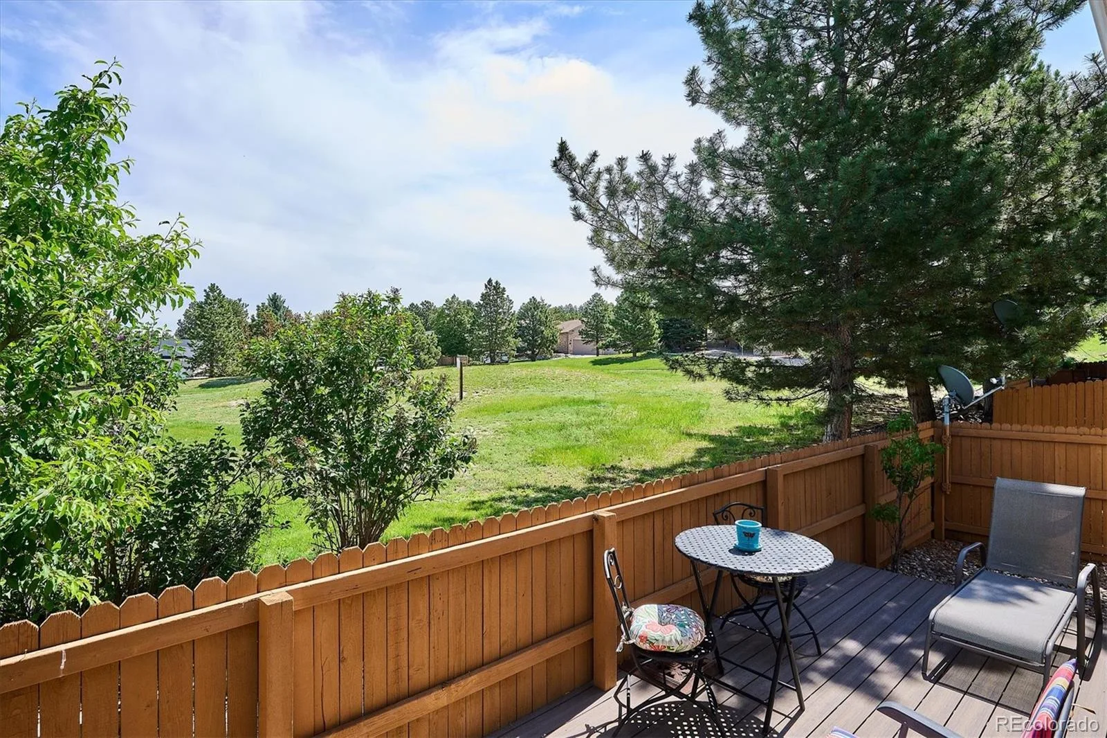 2801 Newport Circle Castle Rock CO 80104 | MLS #REC1658248 06022026185057 1600 2