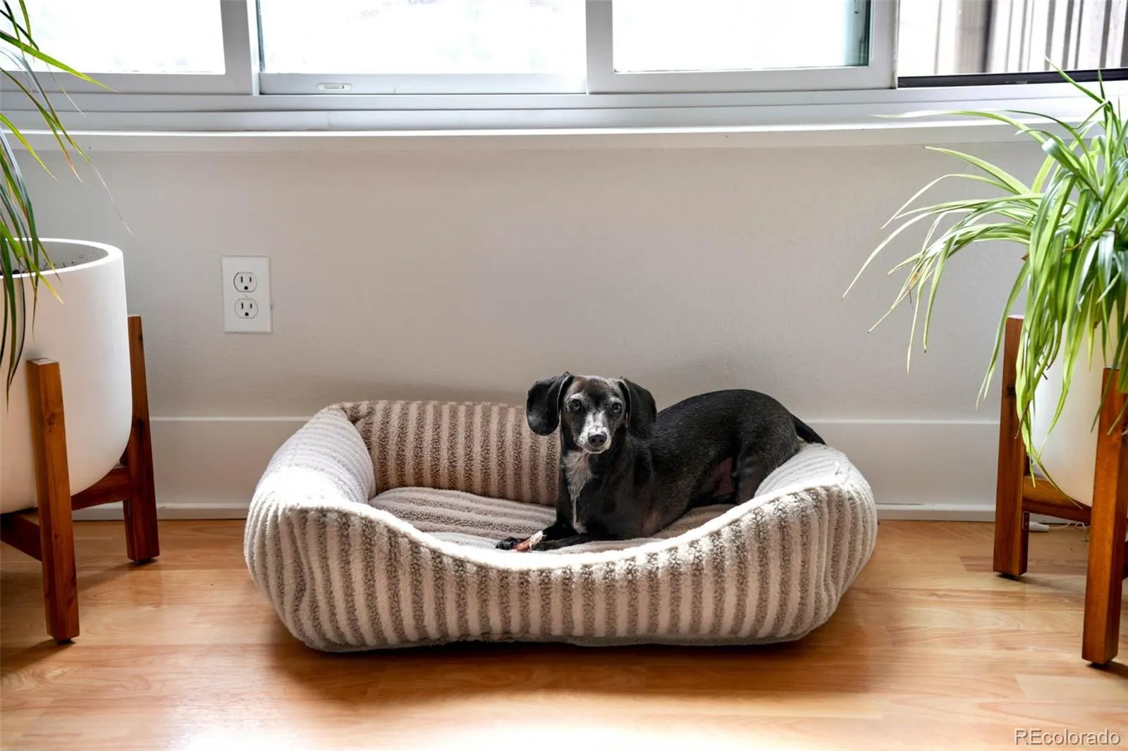 04172026185135 1600 17