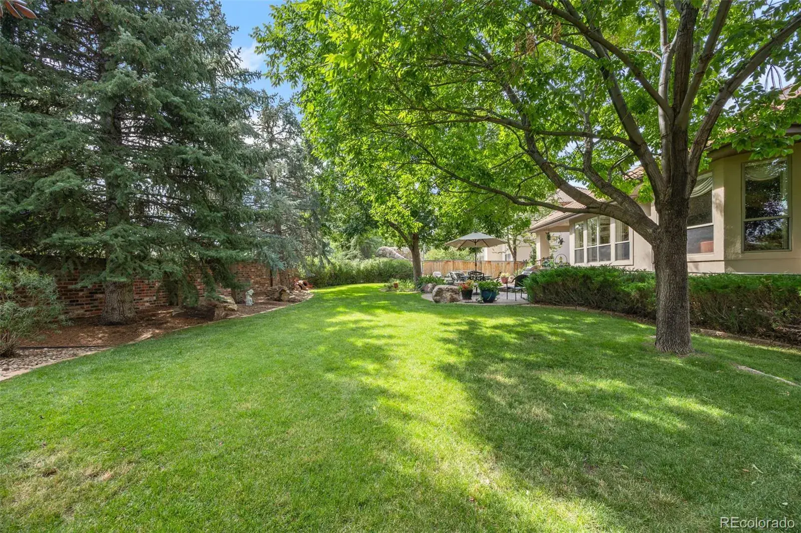 02122026023125 1600 41