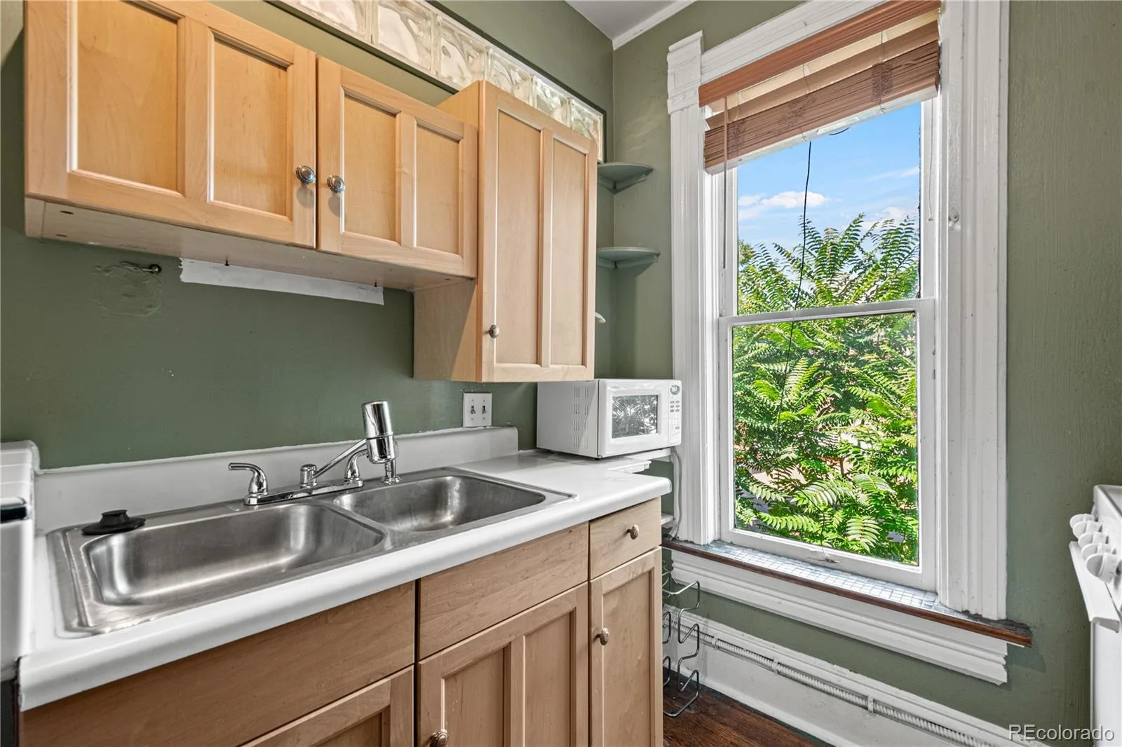 1325 Josephine Street Denver CO 80206 | MLS #REC1690421 09102026143812 1600 20