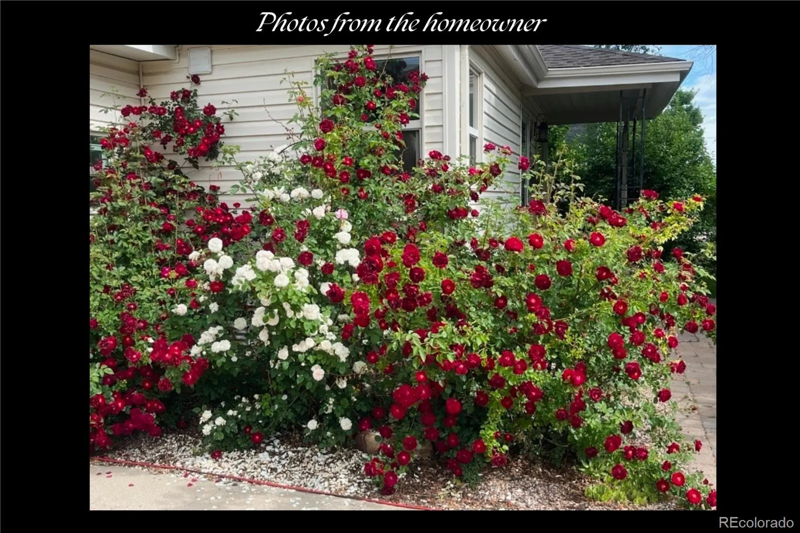 04152026235255 1600 42