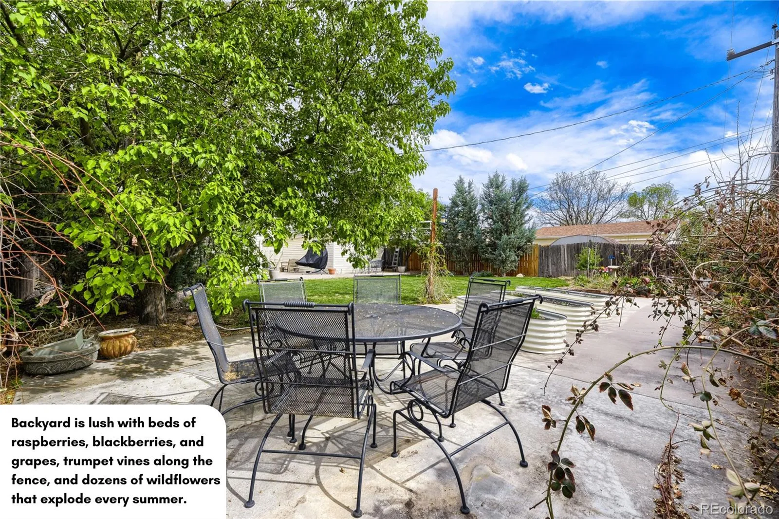 04152026235255 1600 6