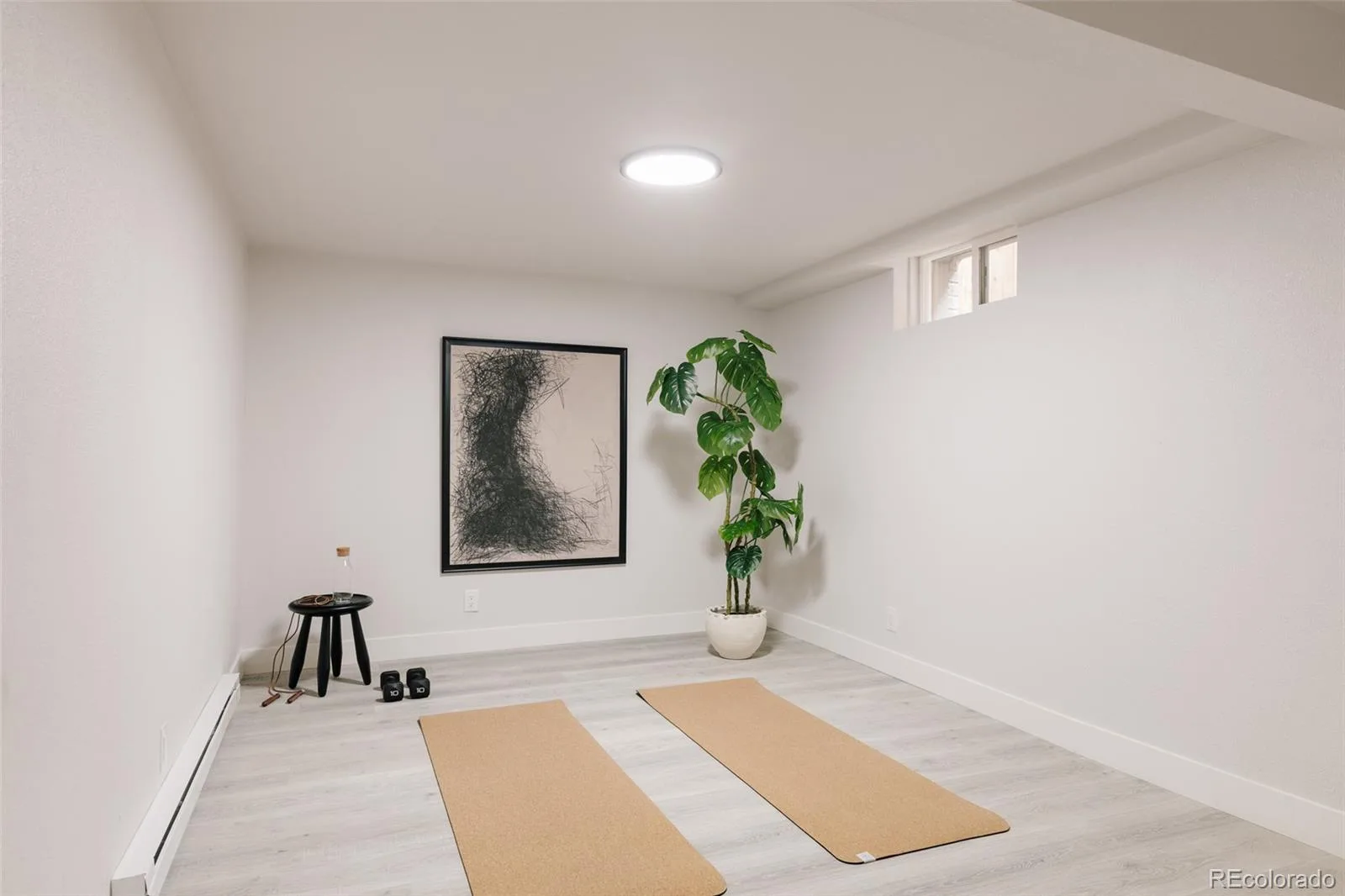 245 Albion Street Denver CO 80220 | MLS #REC1703147 10012026215817 1600 44