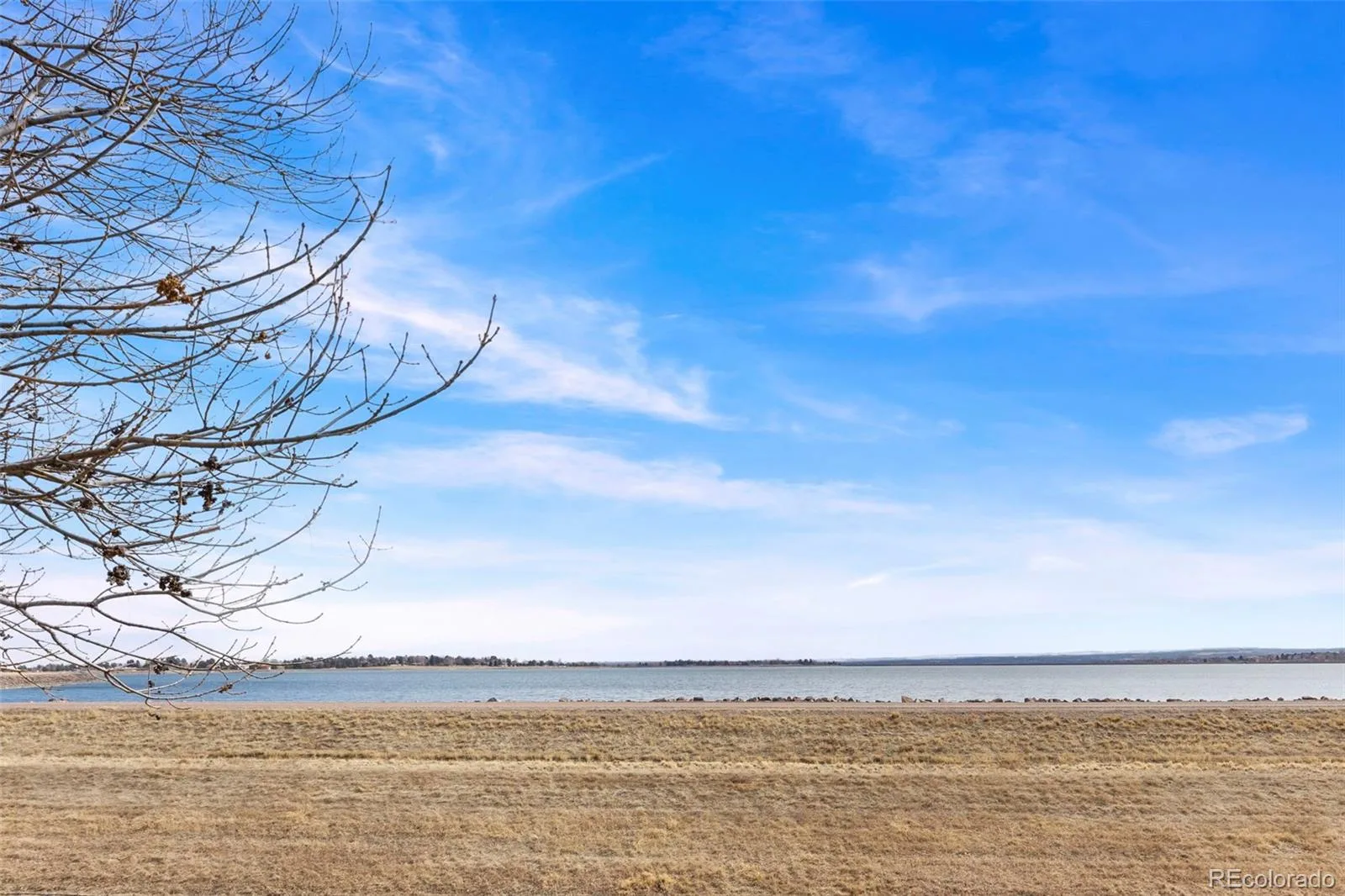 4760 S Wadsworth Boulevard #J104 Littleton CO 80123 | MLS #REC1704913 08192026141732 1600 20