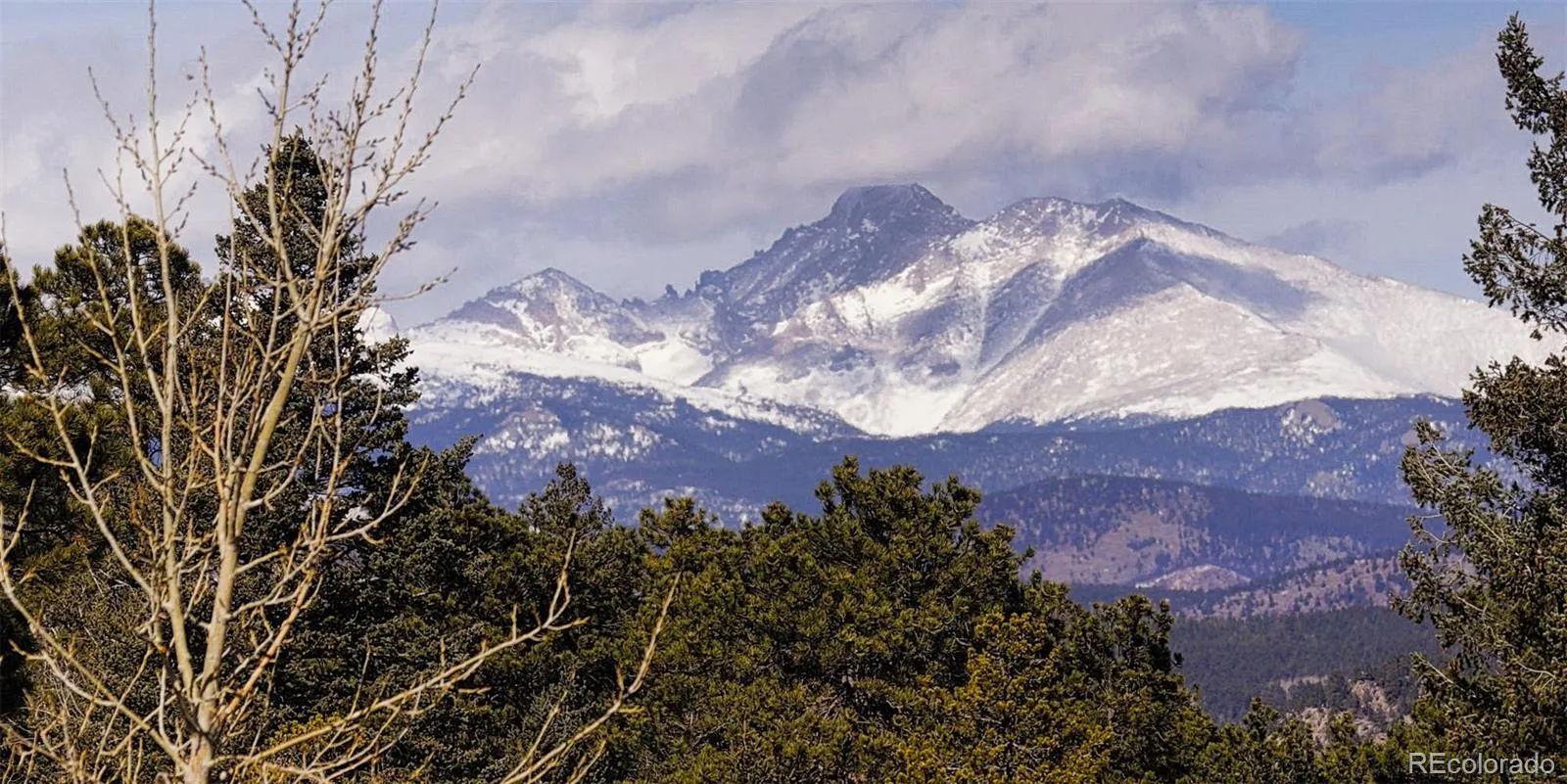 93 Gross Dam Road Golden CO 80403 | MLS #REC1706608 04082026060800 1600 14