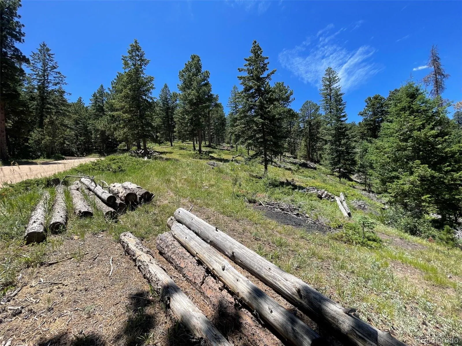 93 Gross Dam Road Golden CO 80403 | MLS #REC1706608 04082026060800 1600 22