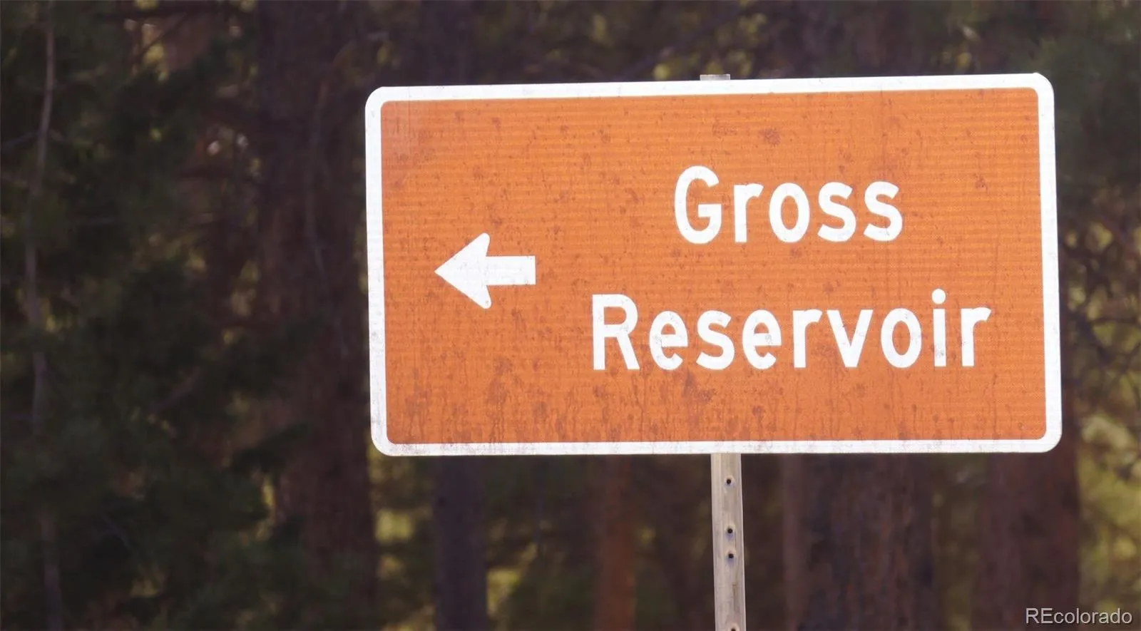 93 Gross Dam Road Golden CO 80403 | MLS #REC1706608 04082026060800 1600 24