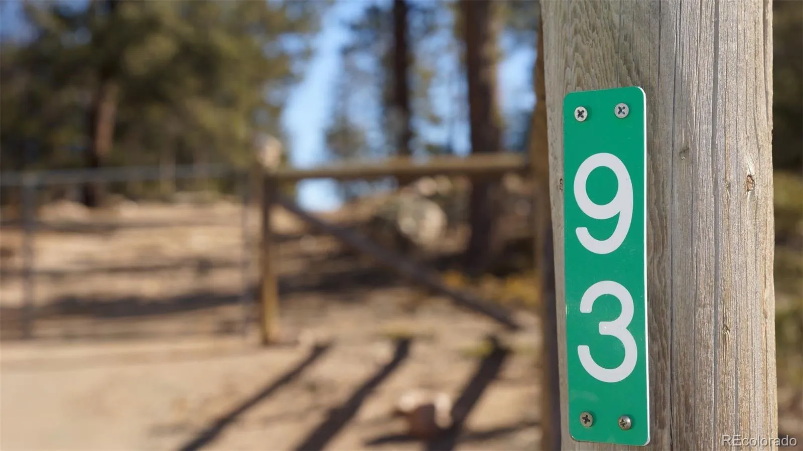 93 Gross Dam Road Golden CO 80403 | MLS #REC1706608 04082026060800 1600 3