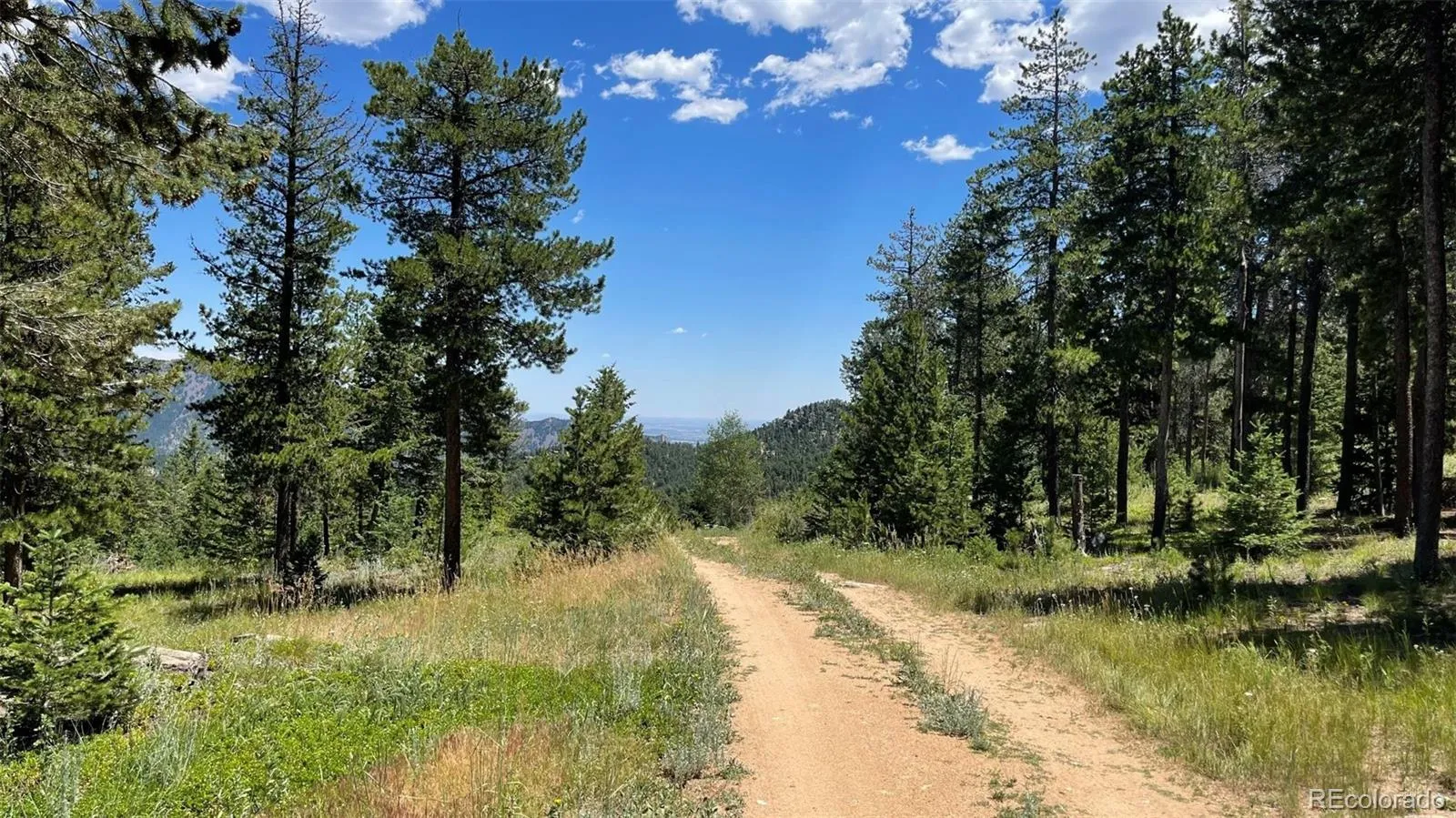 93 Gross Dam Road Golden CO 80403 | MLS #REC1706608 04082026060800 1600 4