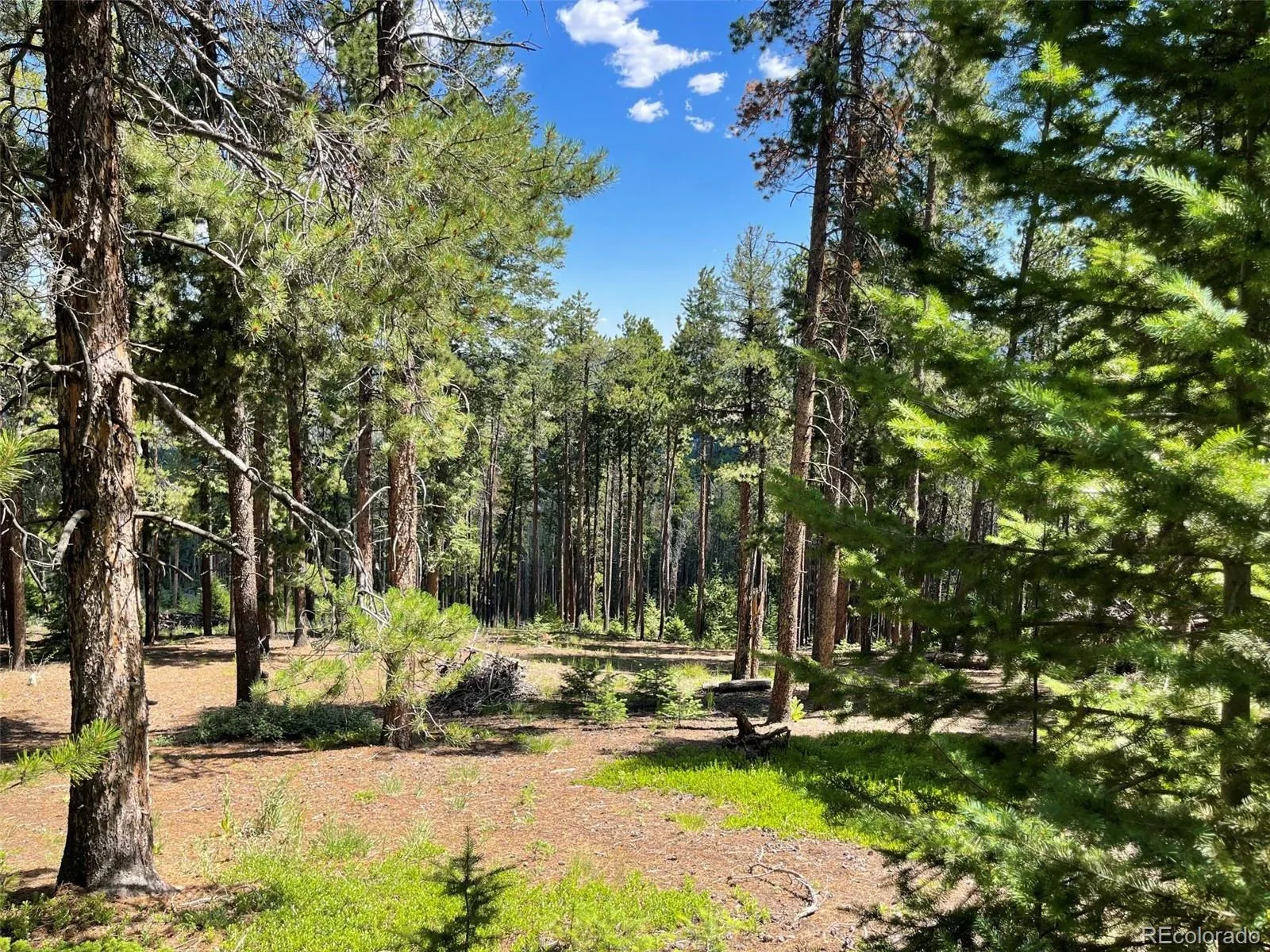 93 Gross Dam Road Golden CO 80403 | MLS #REC1706608 04082026060800 1600 7