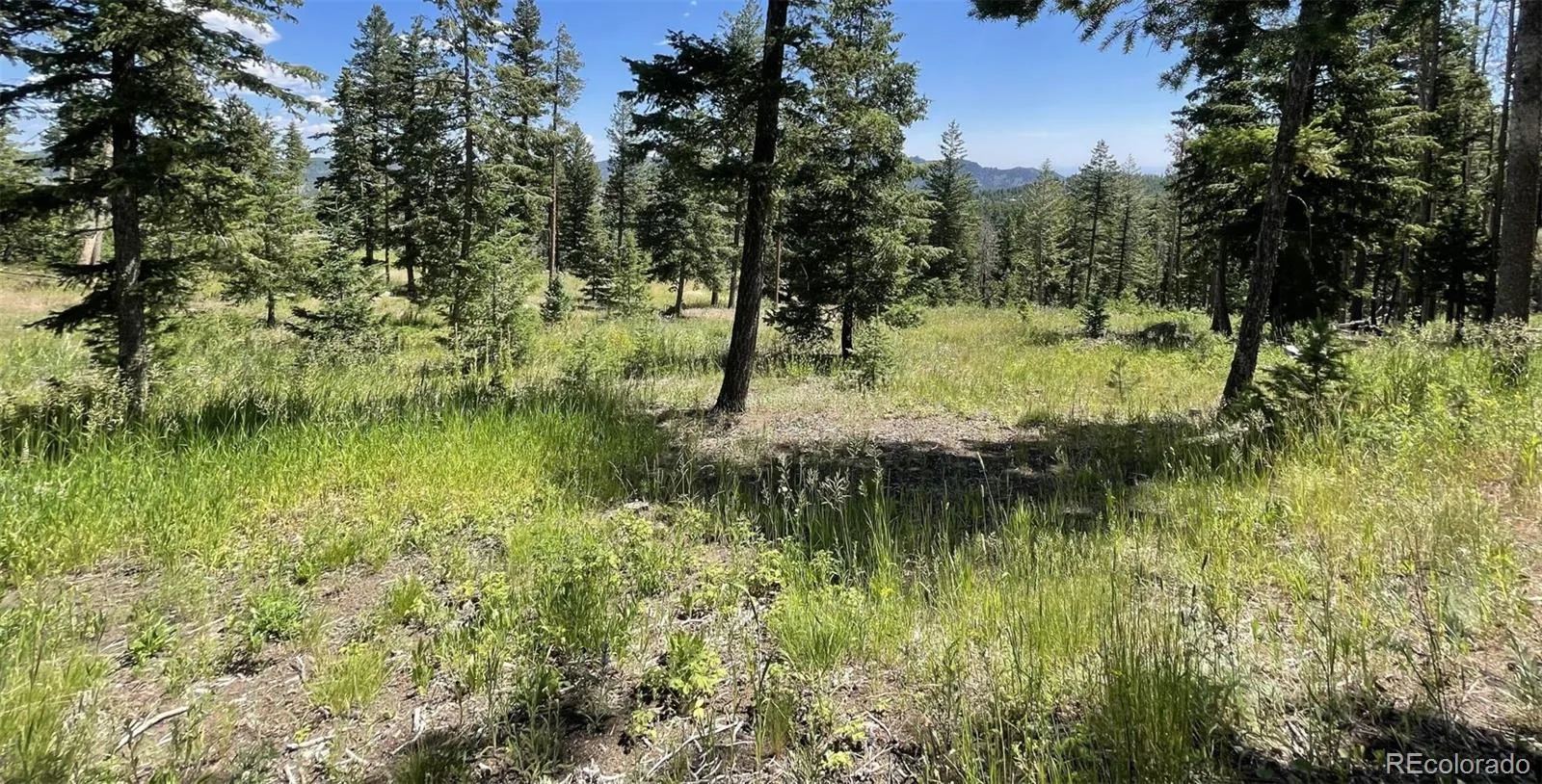 93 Gross Dam Road Golden CO 80403 | MLS #REC1706608 04082026060800 1600 9