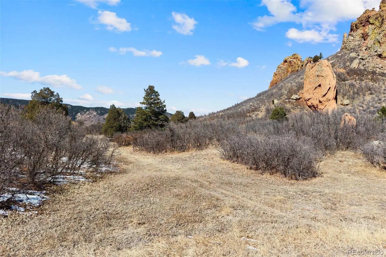 5939 Country Club Drive Larkspur CO 80118 | MLS #REC1712819 03212026055203 1600 1