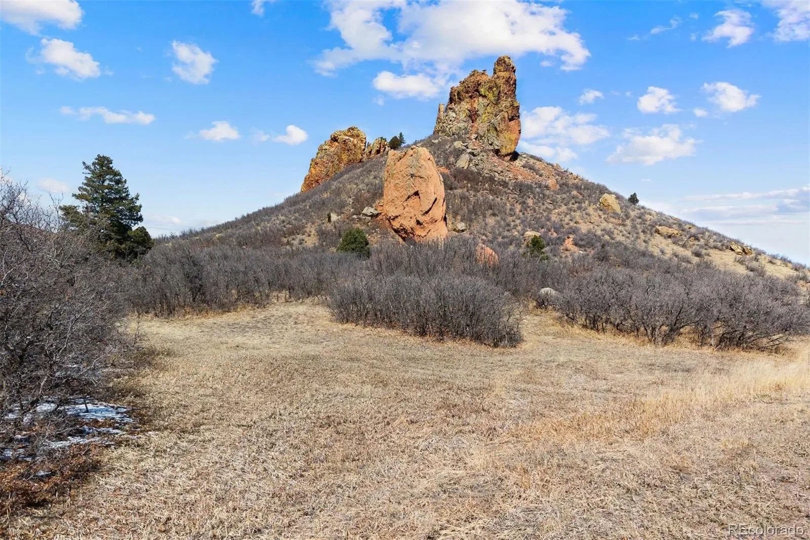 5939 Country Club Drive Larkspur CO 80118 | MLS #REC1712819 03212026055203 1600 11