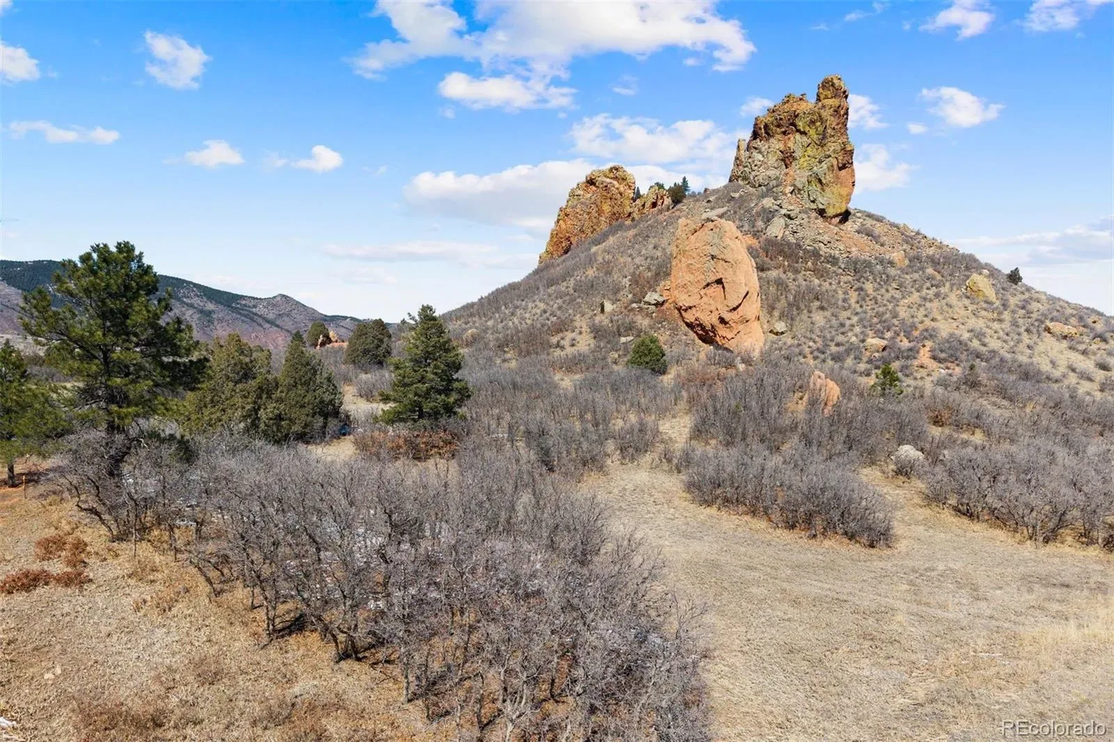 5939 Country Club Drive Larkspur CO 80118 | MLS #REC1712819 03212026055203 1600 16