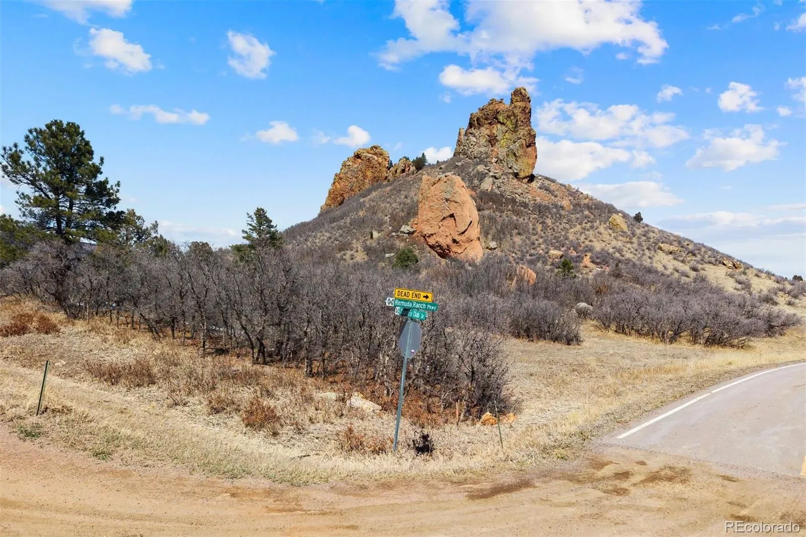 5939 Country Club Drive Larkspur CO 80118 | MLS #REC1712819 03212026055203 1600 2